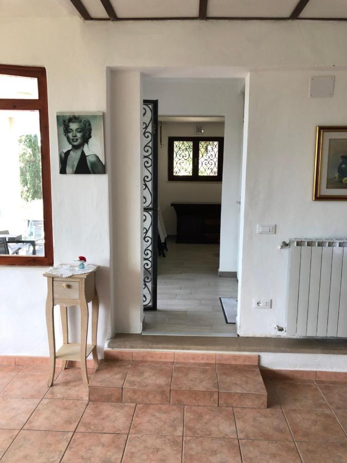Villa Erika Montenero  Екстер'єр фото
